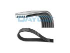 Correia de Acessório DAYCO para Mercedes-Benz A190 1.9 8V 2002 até 2005 - Cod. 5PK1270