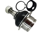 Pivo de suspensão Inferior PERFECT para Ford Transit 2010 até 2023 - Cod. PVI3394